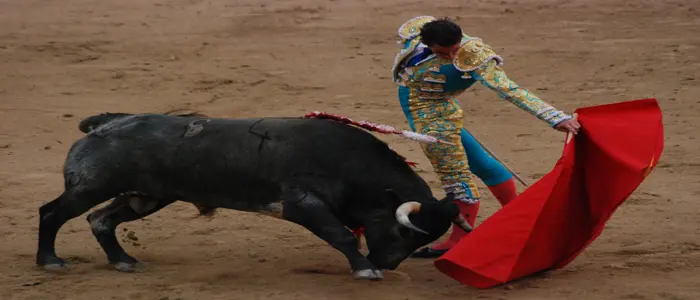 Messico: incornato torero, resterà tetraplegico