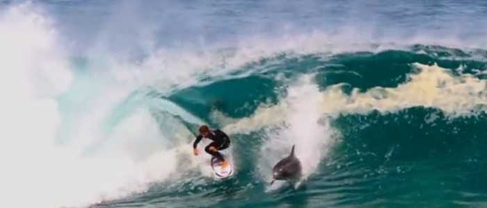 Australia, giovane surfista azzannato da uno squalo: "i suoi amici gli hanno salvato la vita"