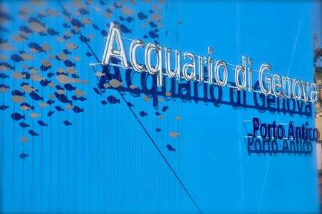 Genova, l'Acquario compie 25 anni e diventa più tecnologico e interattivo