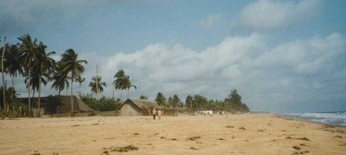 Costa d'Avorio, spari in un resort: almeno sei morti
