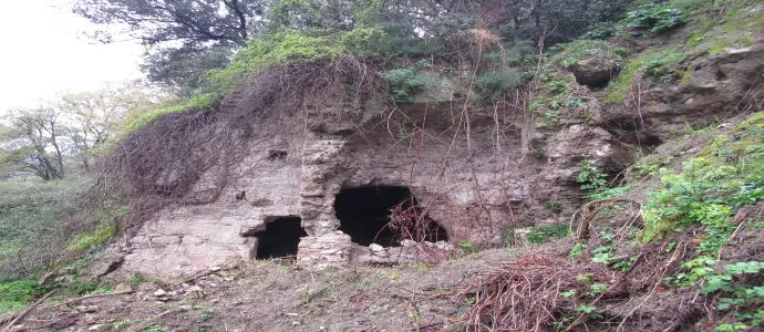 Appello per la tutela della chiesa bizantina S. Anania di Martone. oltre le sagre c'è di più..[Foto]