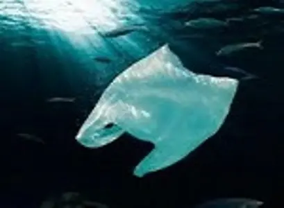 Gli scienziati avvertono: dal 2050 negli oceani più bottiglie di plastica che pesci