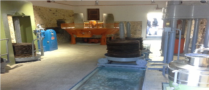 Soveria Simeri celebra l'oro verde: inaugurato il Museo dell'Olio