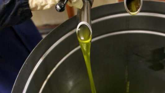 Olio di oliva spacciato per extravergine: indagate per frode sette aziende