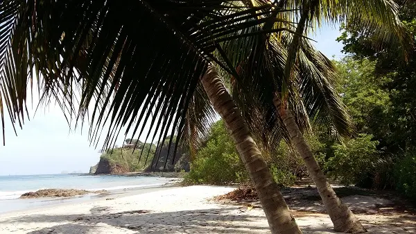 Il turismo non fa per Amazon