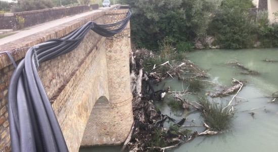 Fossacesia, allarme tronchi alla foce del fiume Sangro