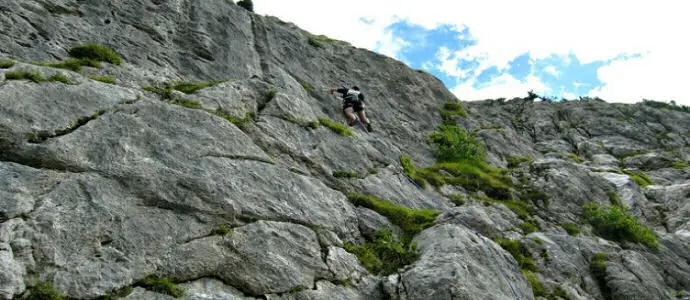 Parco Pollino (Cs): vietate arrampicate sportive per tutelare animali