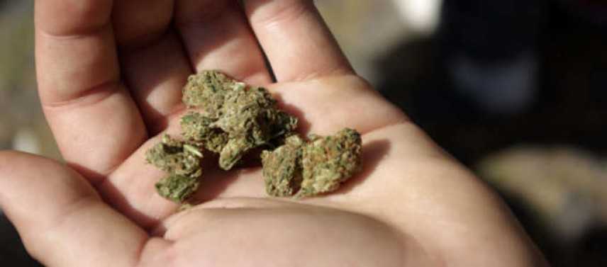Cannabis legale, sbarca alla Camera il disegno di legge