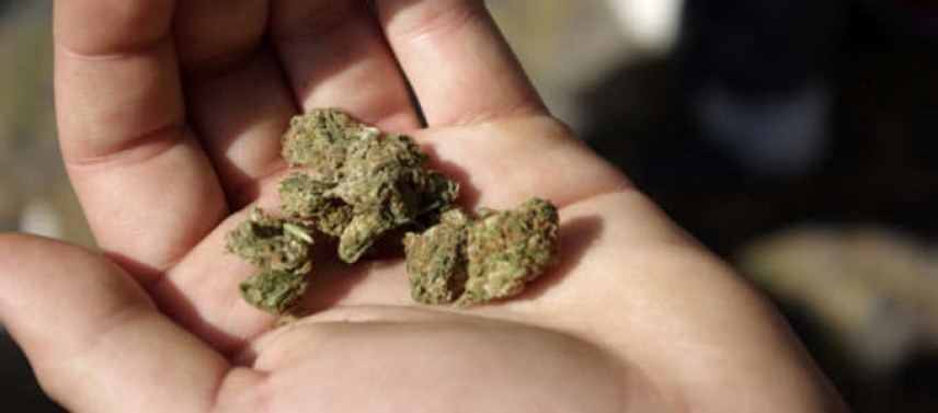Cannabis legale, sbarca alla Camera il disegno di legge
