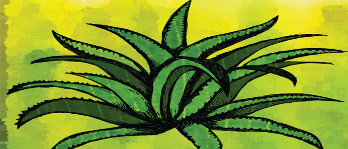 Il 22 Settembre arriva il nuovo disco dei liguri Uragano