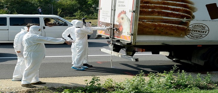 Migranti, Austria: decine di profughi trovati morti in un tir. Merkel chiede solidarietà all'Ue