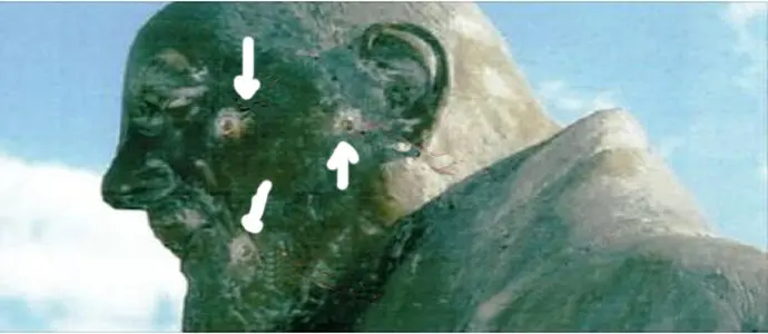 Spara contro statua di Padre Pio, arrestato nel Catanzarese