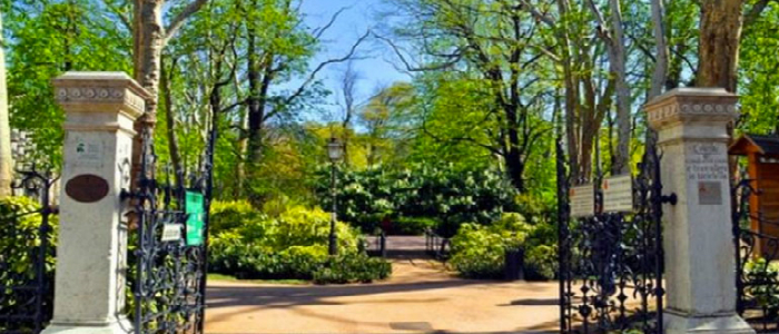 Maxi denuncia per 50 uomini: atti osceni in un parco frequentato da bambini