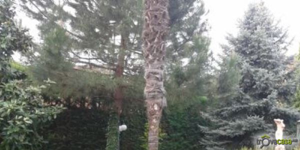 In Piemonte è tempo di social trekking