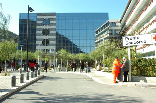 Coppia sbranata dai cinghiali a Cefalù: ucciso lui, ferita lei