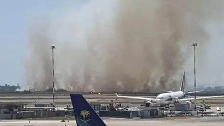 Fiumicino: blackout code e disagi, in azione elicotteri su pineta incendiata