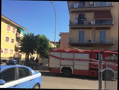 Uccide la madre a coltellate, poi tenta il suicidio