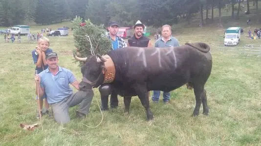 Batailles de Reines, riprendono le gare a Col du Joux