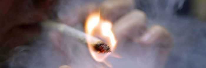 Legalizzazione cannabis, presentato disegno di legge con firme bipartisan