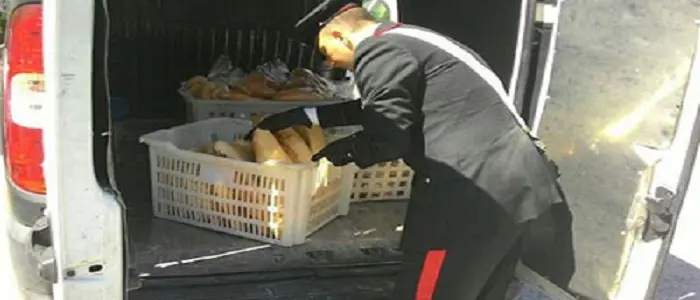 Battipaglia: carabinieri sequestrano 3 quintali di pane avariato