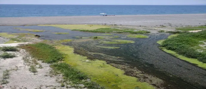 Alveo della fiumarella: grazie al Presidente, Enzo Bruno, un nuovo Parco della Biodiversità [Foto]