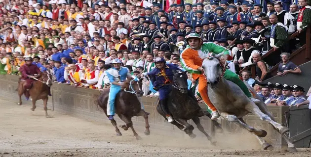 Palio di Siena, la Procura apre un'inchiesta dopo la morte del cavallo Periclea