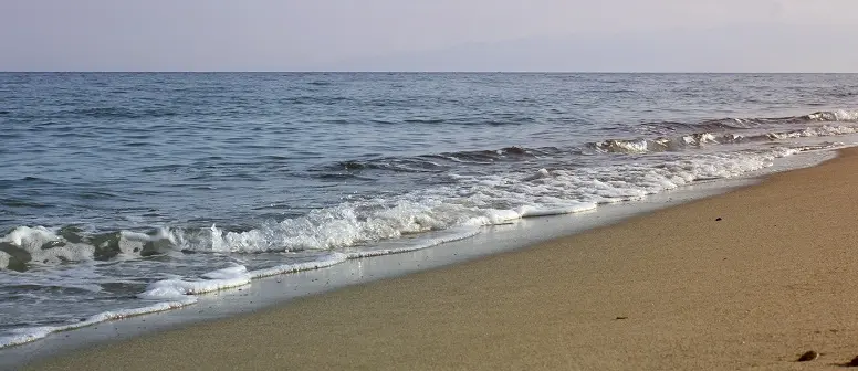 Sellia Marina (CZ), istituzione del Distretto Rurale del "Medio Ionio e della Valle del Crocchio"