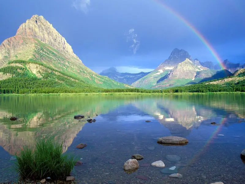 Laudato si'. Una Enciclica... Non solo verde...