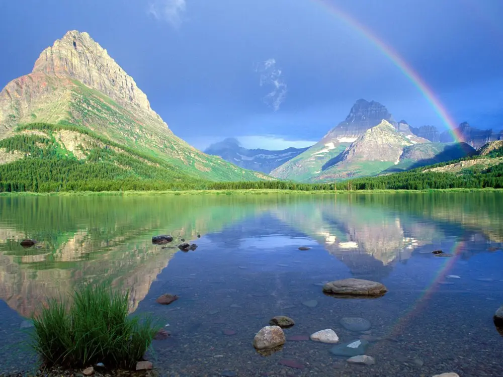 Laudato si'. Una Enciclica... Non solo verde...