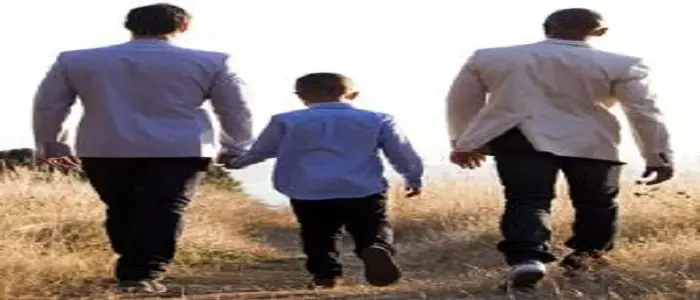 Parlamento Europeo riconosce i diritti delle famiglie gay