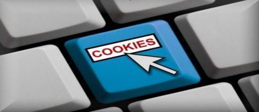 Consenso per l'uso dei cookie "Istruzioni per l'uso"