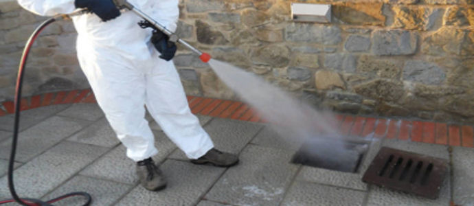 Catanzaro, Lunedi partono gli interventi di deblattizzazione nel quartiere lido