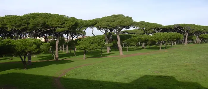 Roma: trovato senza vita il corpo di un uomo  all'interno della Pineta Sacchetti