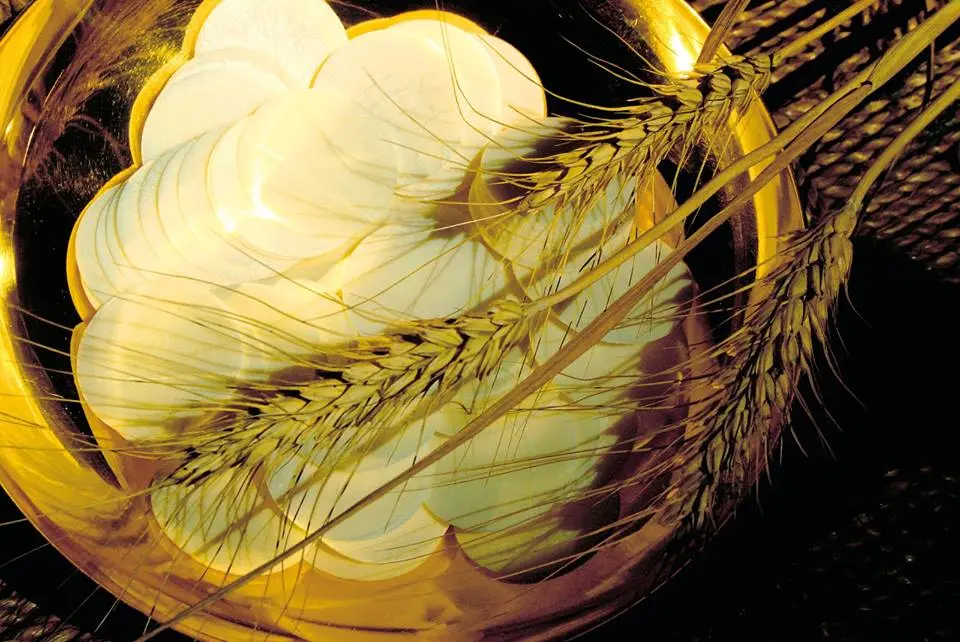 Vangelo del giorno. Giovedì della terza settimana di Pasqua