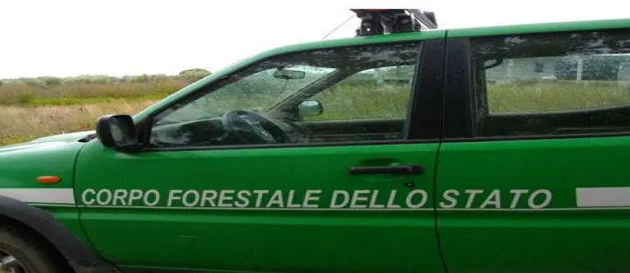 Rifiuti: discarica abusiva sequestrata dal Cfs nel Catanzarese