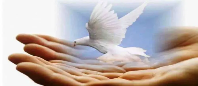 Mostrò loro le mani e il fianco Seconda Domenica di Pasqua