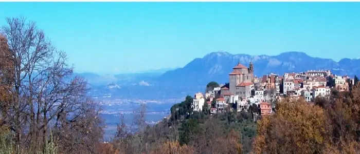 Monte Porzio Catone, madre e figlio abbandonano il cane in una discarica: denunciati