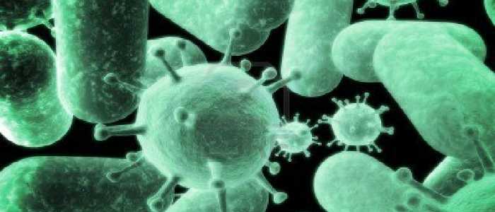 I nuovi killer: da Londra, l'allarme contro i super batteri resistenti agli antibiotici