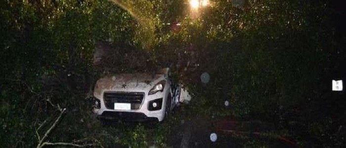Roma, Maltempo: quercia cade e uccide un uomo