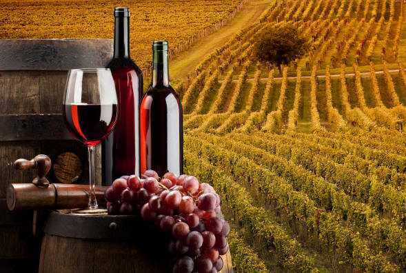 Vino made in Italy: numeri da record. Nel 2014 fatturato da 9.4 miliardi