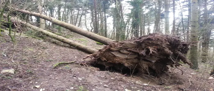 Maltempo: l'Abruzzo chiede lo stato di emergenza. Danni per 80 milioni di euro.