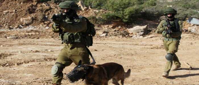 Palestina, video shock soldati israeliani attaccano con dei cani un 16enne palestinese