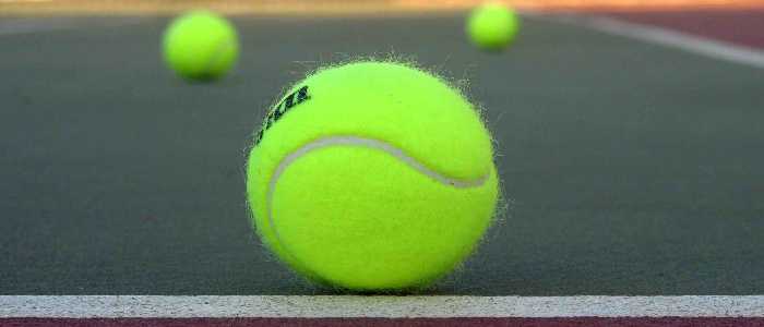 Tennis, Fed Cup: Errani e Giorgi ko e la Francia recupera