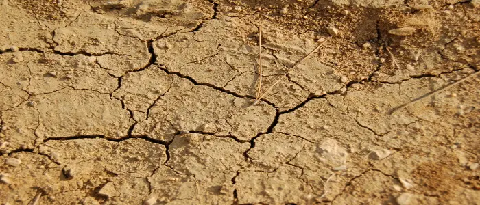 Agricoltori senza acque irrigue: succede ad Avezzano a causa del nuovo depuratore