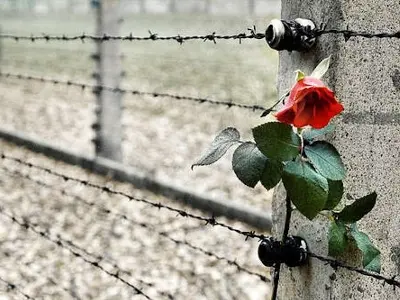 Torino: nella città della Mole si celebra la "Giornata della Memoria"