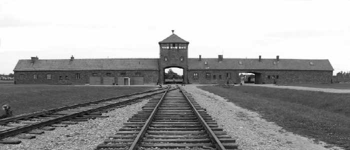 Giornata della Memoria: la Shoah tra storia e testimonianze