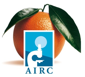 Calabria: le arance rosse di Calabria per la ricerca e la lotta contro il cancro