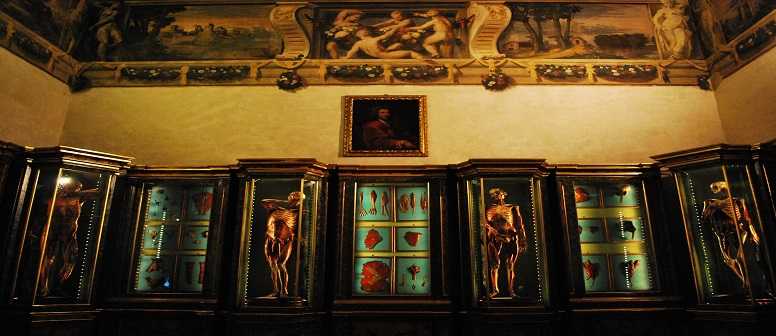 Bologna, Istituzione Musei presenta "Sissi, Manifesto Anatomico"
