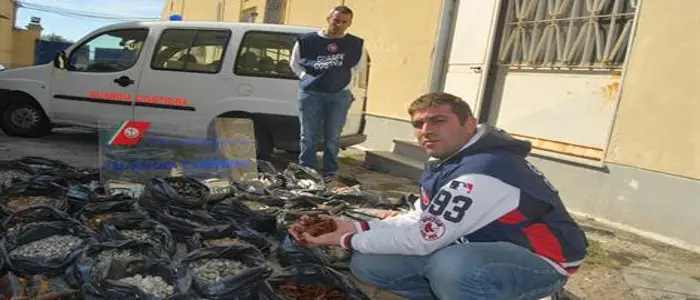 Cibo avariato: sequestri in tutta la Puglia