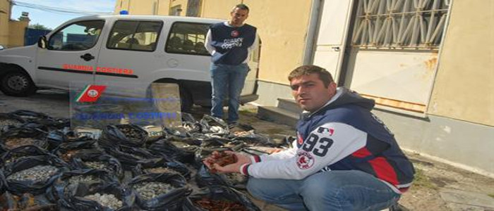 Cibo avariato: sequestri in tutta la Puglia